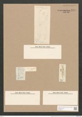 Pleurosigma var. peisonis Grun. (de-Toni-Nr.: Genus 13, Species 1076) Zeichnungen Sammlung Grunow Nr. 1975 (NHMW-BOT-W0369121)